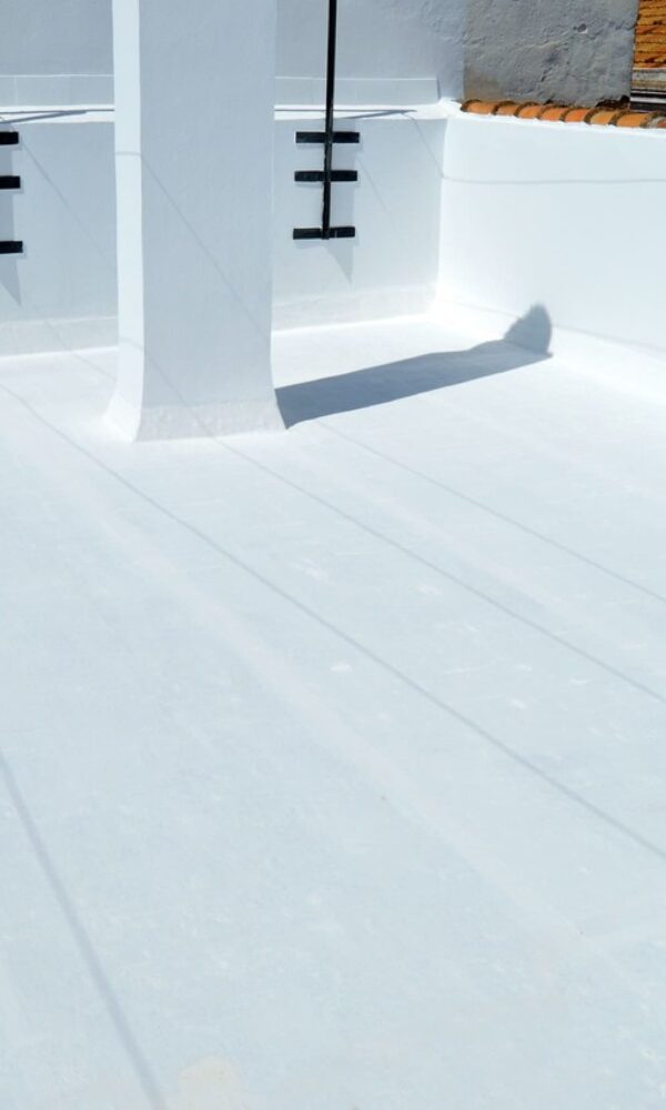 Hat stock332873 1 600x1000